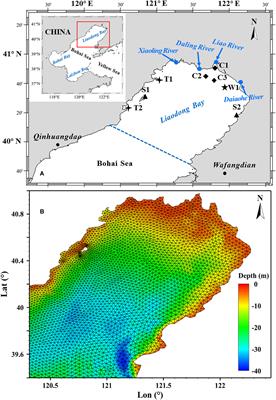 Numerical models reveal the suitable habitat area for the stock enhancement and release of marine organism larvae in Liaodong Bay